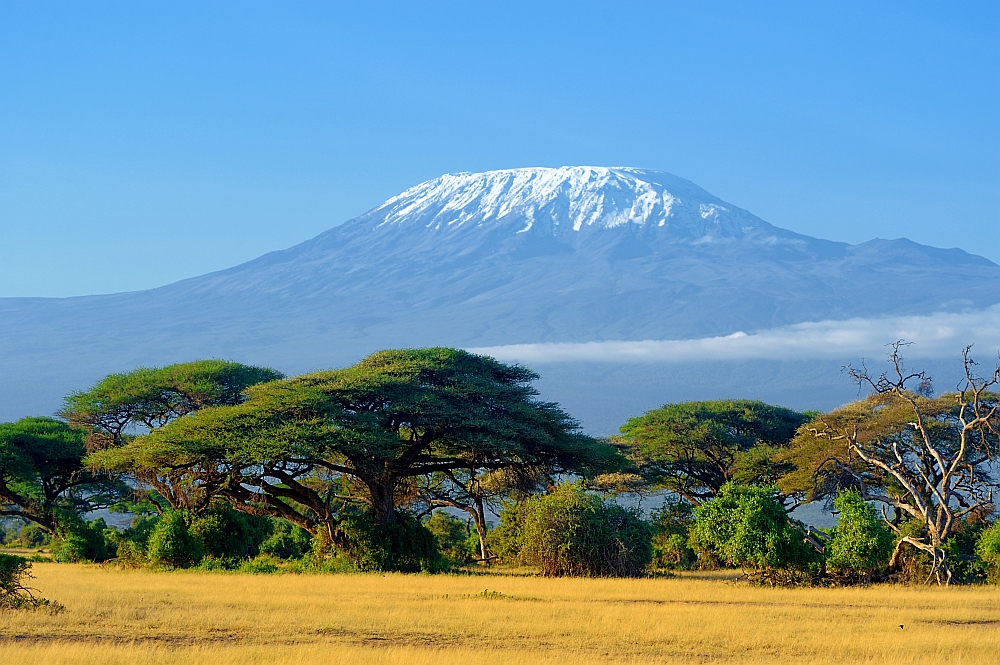 Kilimandżaro - wielka góra otoczona sawanną - Portal turystyczny