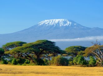Kilimandżaro – wielka góra otoczona sawanną