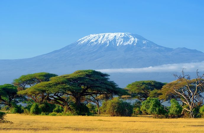 Kilimandżaro – wielka góra otoczona sawanną