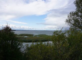Półwysep Szeroki Ostrów nad jeziorem Śniardwy – Mazury