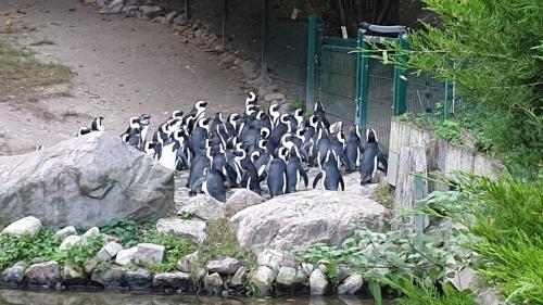 Zoo w Gdańsku