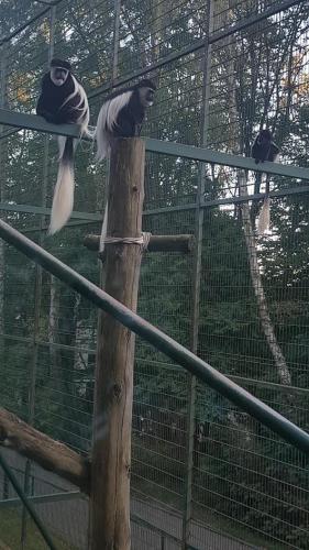 Zoo w Gdańsku